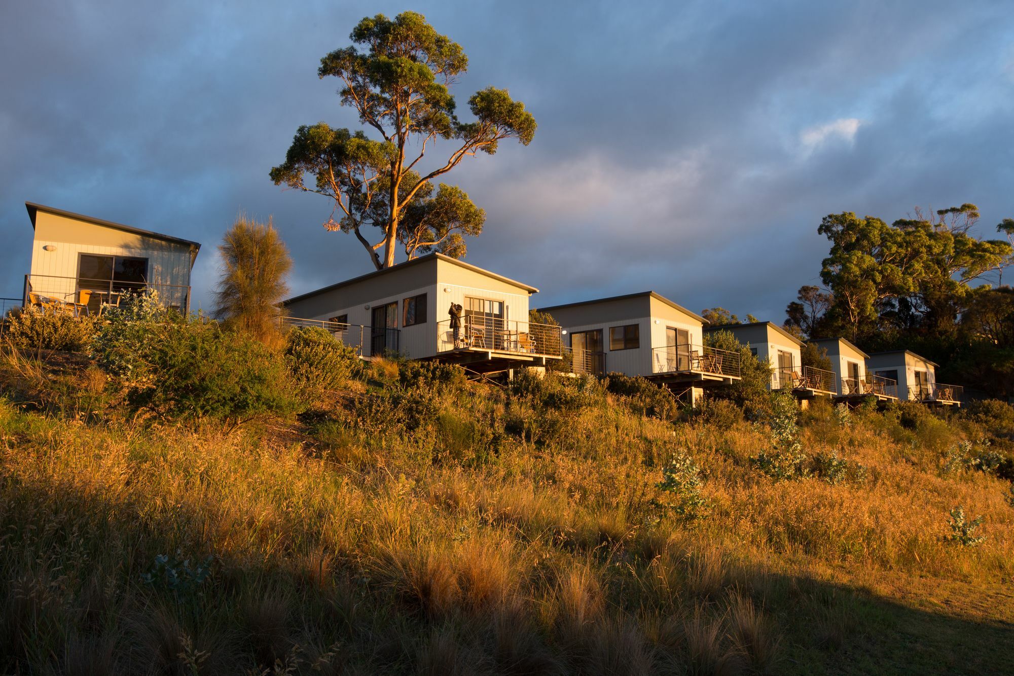 Swansea Beach Chalets Exterior foto